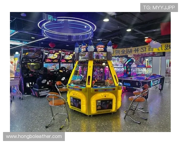 蒋敦豪昨晚畅玩游戏揭秘 让人惊讶的娱乐选择与玩法体验